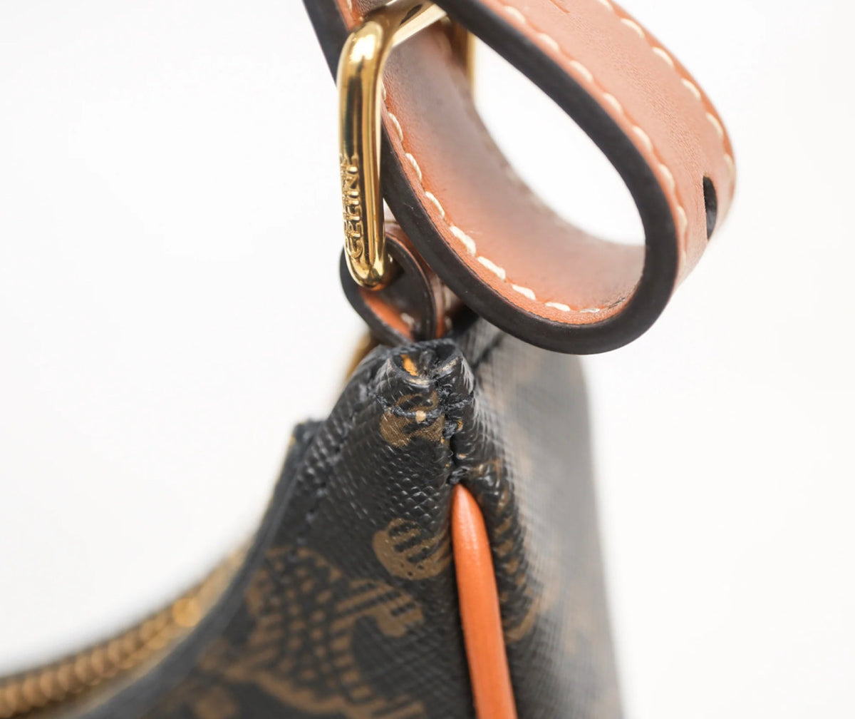 Celine medium Ava triomphe bag canvas