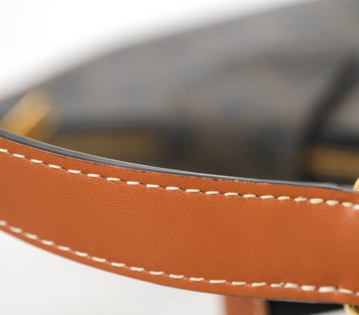 Celine medium Ava triomphe bag canvas