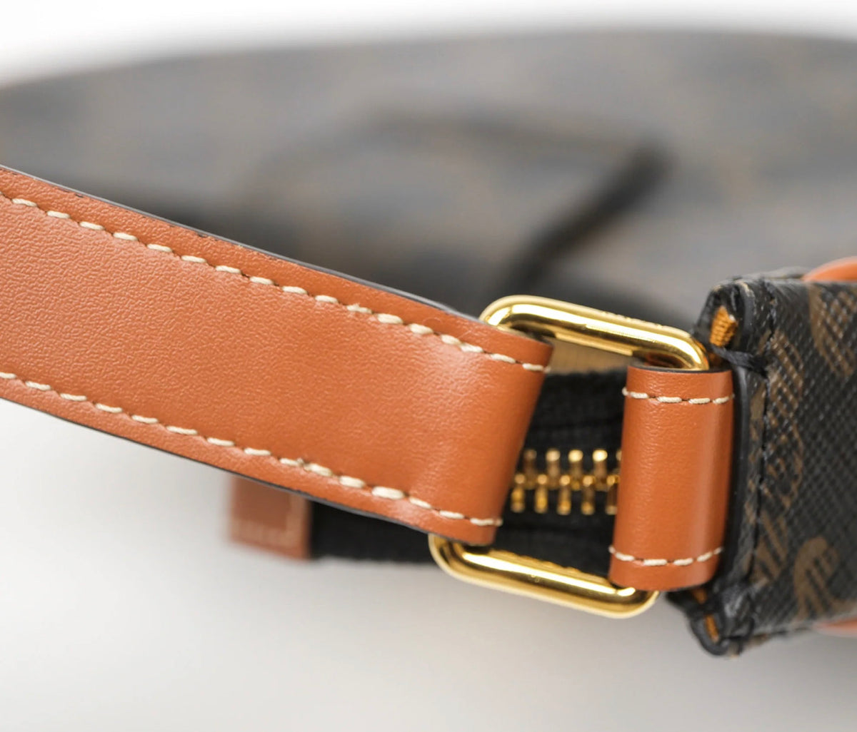 Celine medium Ava triomphe bag canvas